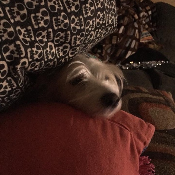 Meet your Posher, Jackie - Picture 4 of 8